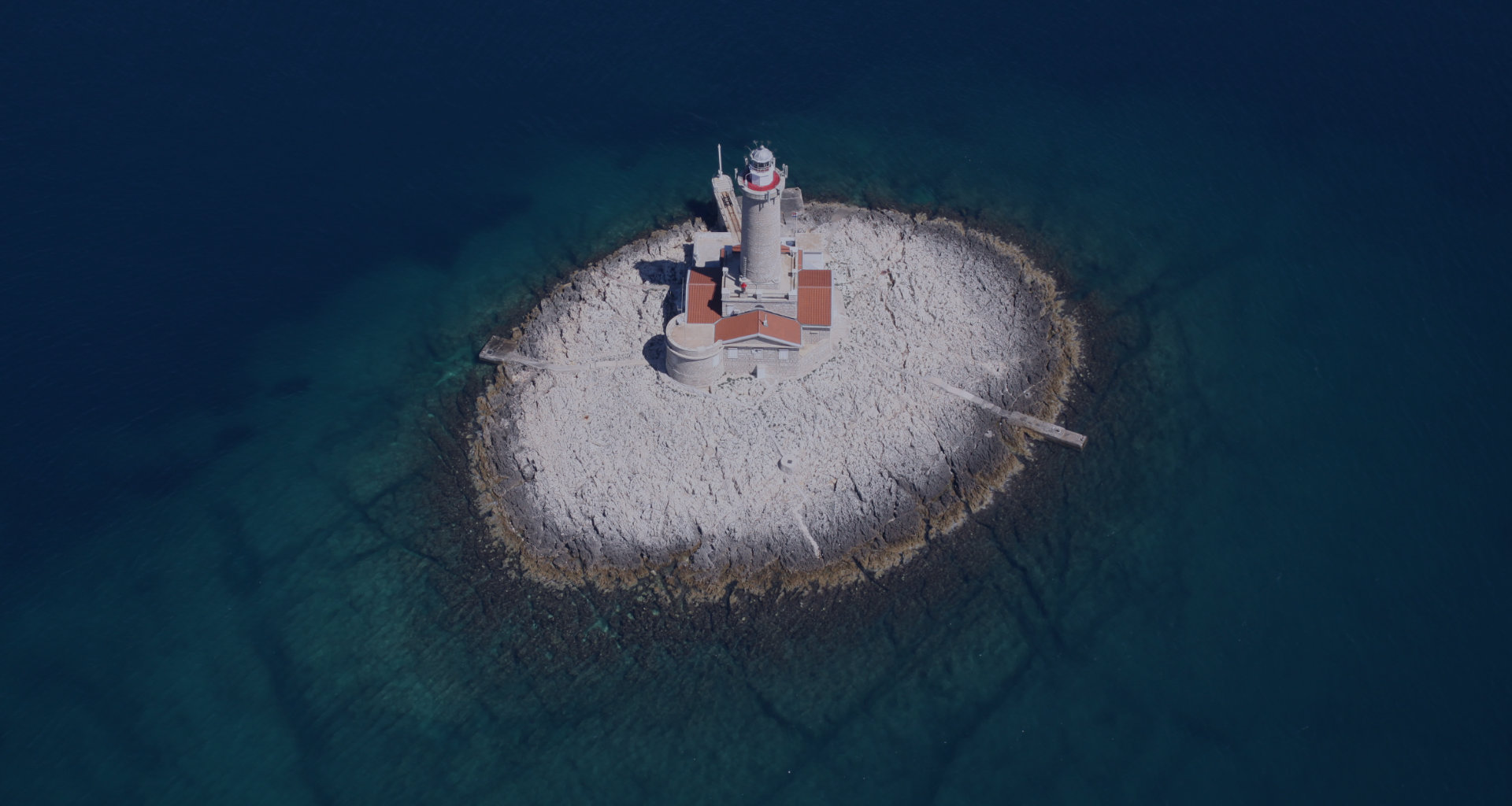 Professional services